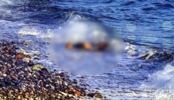 Ege’nin sularında insanlık yine boğuldu: Göçmenlerin cansız bedenleri kıyıya vurdu