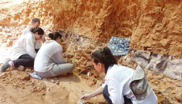 Bilim insanlarını heyecanlandıran keşif: Denizli'de 9 milyon yıl öncesine ait nadir fosiller bulundu