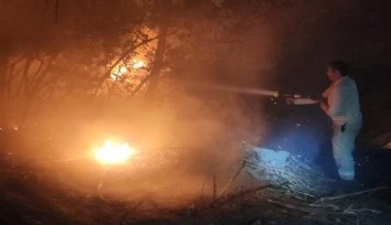  İzmir'de ormanlık alanda yangın