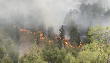 Pamukkale'de korkutan yangın