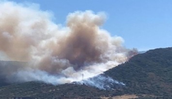 Urla'da korkutan yangın: Havadan ve karadan müdahaleler devam ediyor
