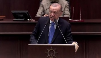 Erdoğan, sokak hayvanları yasasına kararlı yaklaştı: 'Meclis tatile girmeden yasalaşacak, sokaklarımızı güvenli hale getireceğiz'