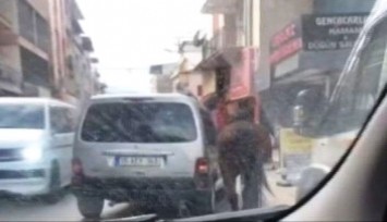 Atı iple aracın arkasına bağlayıp yürüttü, şikayet üzerine gözaltına alındı  