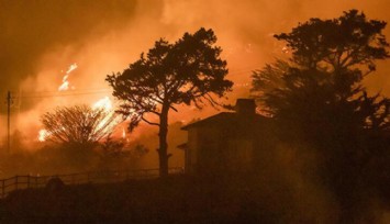 California'da korkutan orman yangını