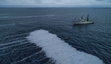 Fransa'da deniz yüzeyi 100 binden fazla ölü balıkla kaplandı