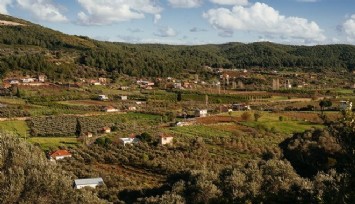 Seferihisar’ı mahkeme kararı da kurtaramadı: Tarım, orman ve zeytin alanına kurulacak santrale yeniden ÇED izni verildi