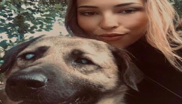 Görme engelli köpeği için ev kiraladı