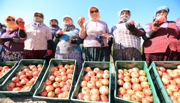 Üreticiye destek sürüyor: 'Nar neşesi şen tanesi şenliği' bu pazar Zeytinköy'de