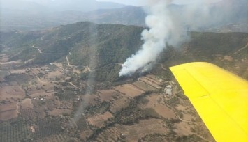 İzmir’de ormanlık alandaki yangın kontrol altında