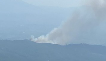 İzmir'de korkutan orman yangını!