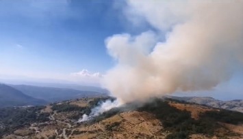 İzmir'deki orman yangınına müdahale ediliyor