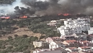 İzmir'de ormanlık alandaki yangın kontrol altında