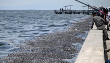 İZSU'dan körfez kirliliğine yanıt: Sorumluluk bakanlıkta