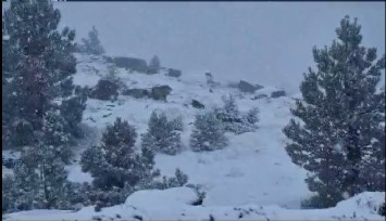 Muğla'nın tepelerine lapa lapa kar yağdı