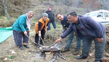 Denizli'de binbir zahmet kestane dönemi başladı