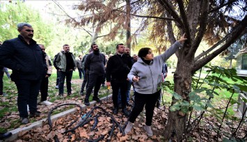 Yeşil Bornova’da daha estetik görünüm için budama eğitimi