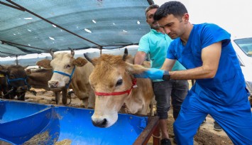 Buca’da Kurban Bayramı öncesi ekipler denetimde