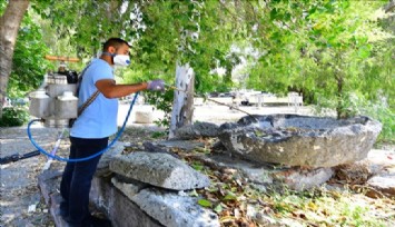 İzmir’de sivrisineklere karşı etkin mücadele