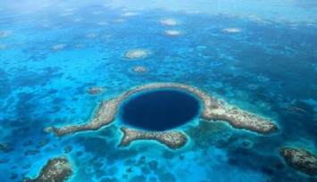 Dünyanın en büyük deniz çöplüğünde deniz canlıları habitat değiştirdi