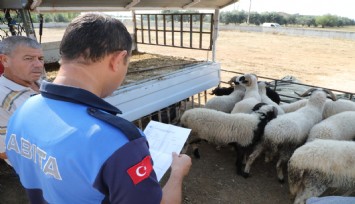 Menderes’te Kurban Denetimi