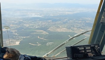 İzmir'de orman yangını: 5 helikopter, 2 uçak bölgede