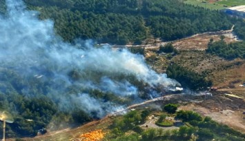 İzmir'de ormanlık alandaki yangın kontrol altında