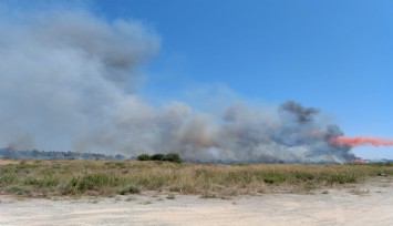 Seferihisar'da korkutan yangın