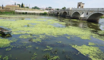 Edirne'de Tunca Nehri plastik atıklar ve çöplerle kaplandı