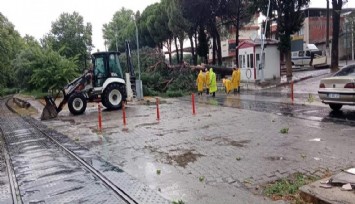 Demiryoluna ağaç devrildi, seferler durdu