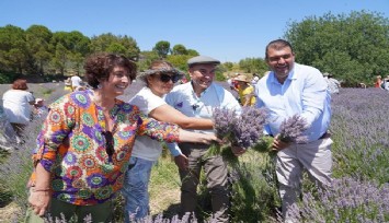 Seferihisar’da mis kokulu festival