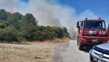 İzmir'de orman yangını