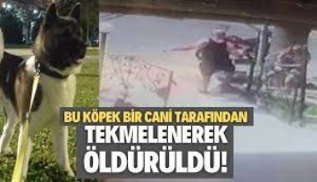 İzmir'de köpeği tekme darbesiyle öldürülen kadın, şüpheliden şikayetçi oldu