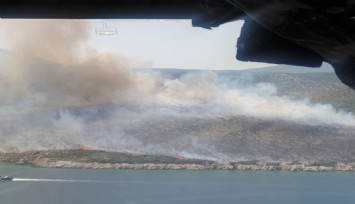 İzmir'de makilik alan yangınında 2 gözaltı