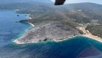 İzmir'deki orman yangınında gözaltına alınan şüpheliler serbest bırakıldı