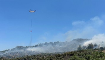 İzmir'de zeytinlikte çıkan yangına havadan ve karadan müdahale