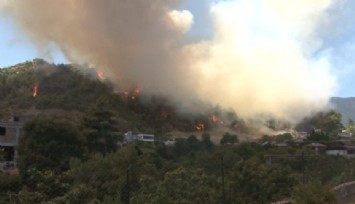 Hatay'da yangın