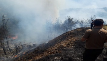 İzmir'de iki orman yangını birden başladı