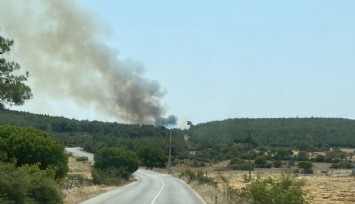 İzmir'de bir orman yangını daha başladı