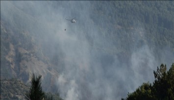 Orman yangınlarıyla mücadelede 'yapay zeka' desteği artıyor