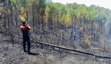 Muğla’daki orman yangını kontrol altına alındı