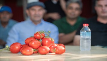 Başkan Soyer domates ve karpuz hasadına katıldı