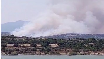 İzmir'de makilik alanda yangın