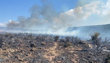 Aliağa’da makilik yangını havadan ve karadan müdahale ile kontrol altına alındı