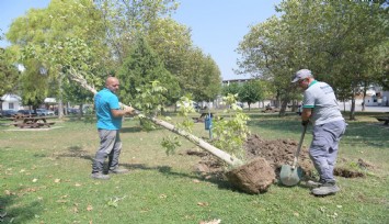 Bornova’da park yenileme hamlesi