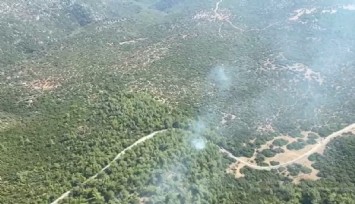 İzmir Selçuk’taki orman yangını kontrol altına alındı