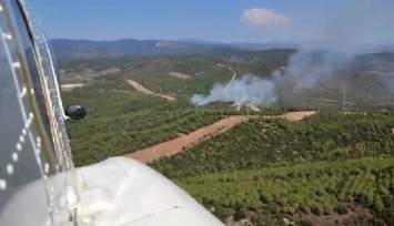 İzmir’de orman yangını