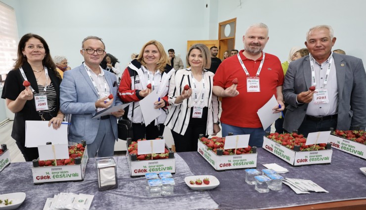 Emiralem çileği, yüz binleri Menemen'de buluşturdu