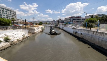 Kokuya karşı mücadelenin etkileri bu yaz görülecek