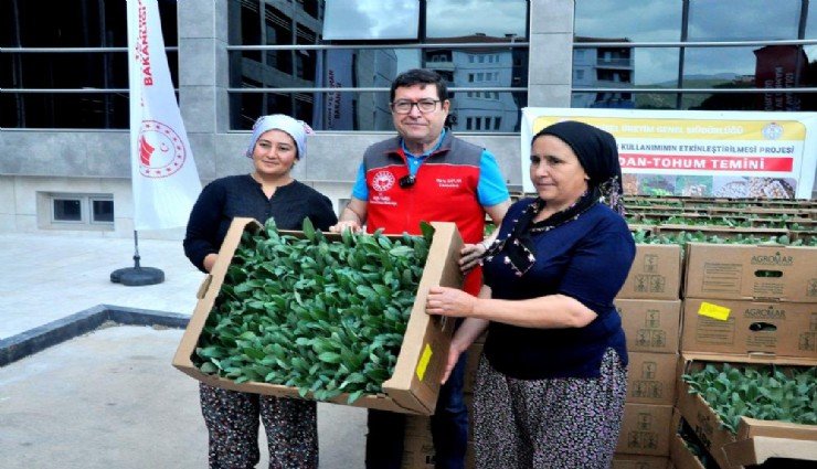 Muğla 'enginar üssü' olacak