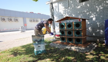 Bayraklı Belediyesi, aşırı sıcaklar nedeniyle yiyecek ve içecek bulmakta zorlanan sokak hayvanlarını unutmadı.